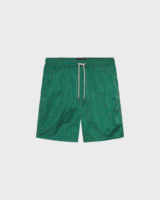 ALLOVER PRINTED SWIMSHORT