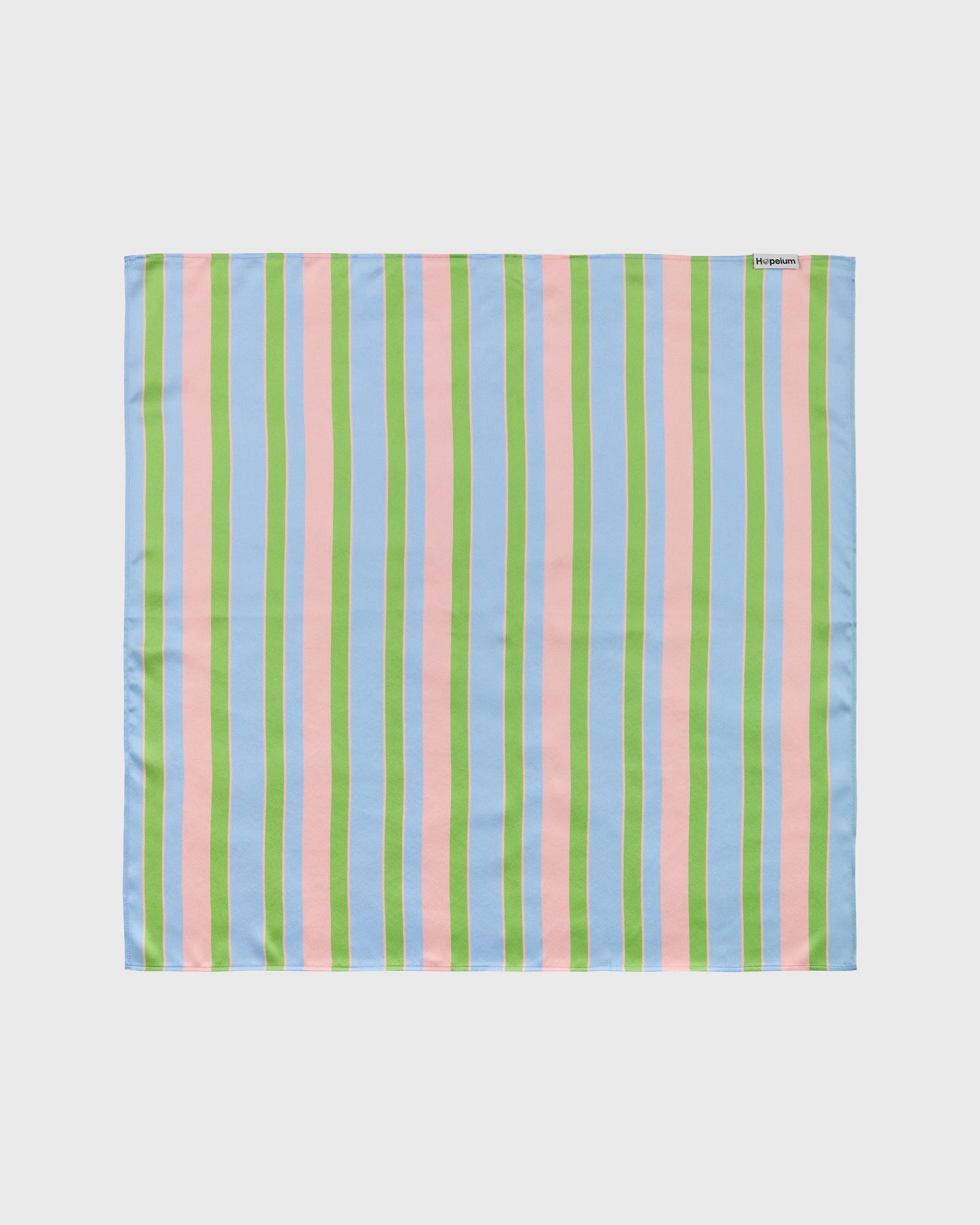 SILK SCARF PRINTED STRIPE | Stripe